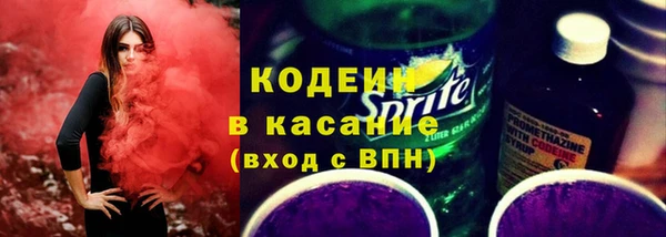 трава Арсеньев