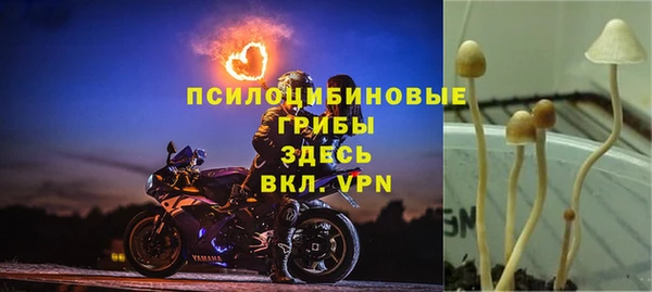 трава Арсеньев