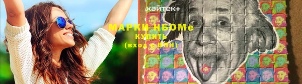 бошки Аркадак