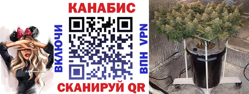 Купить закладки  Тайшет  Бошки марихуана Amnesia 